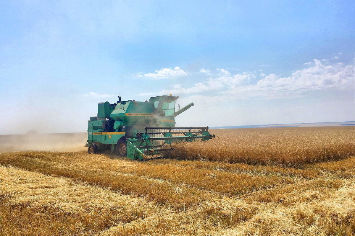 Рекордный урожай зерновых в  Ивановской области