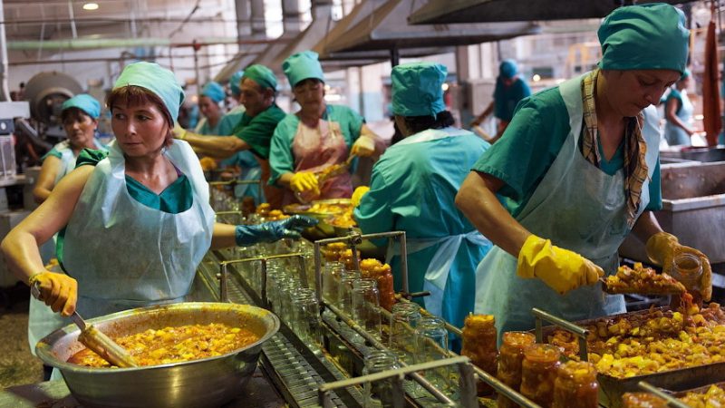 Производители овощных консервов предупредили о нехватке рабочих-мигрантов