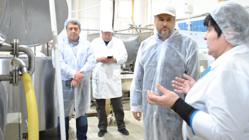 Фермеры в Ивановской области получат субсидии на сертификацию производимой продовольственной продукции