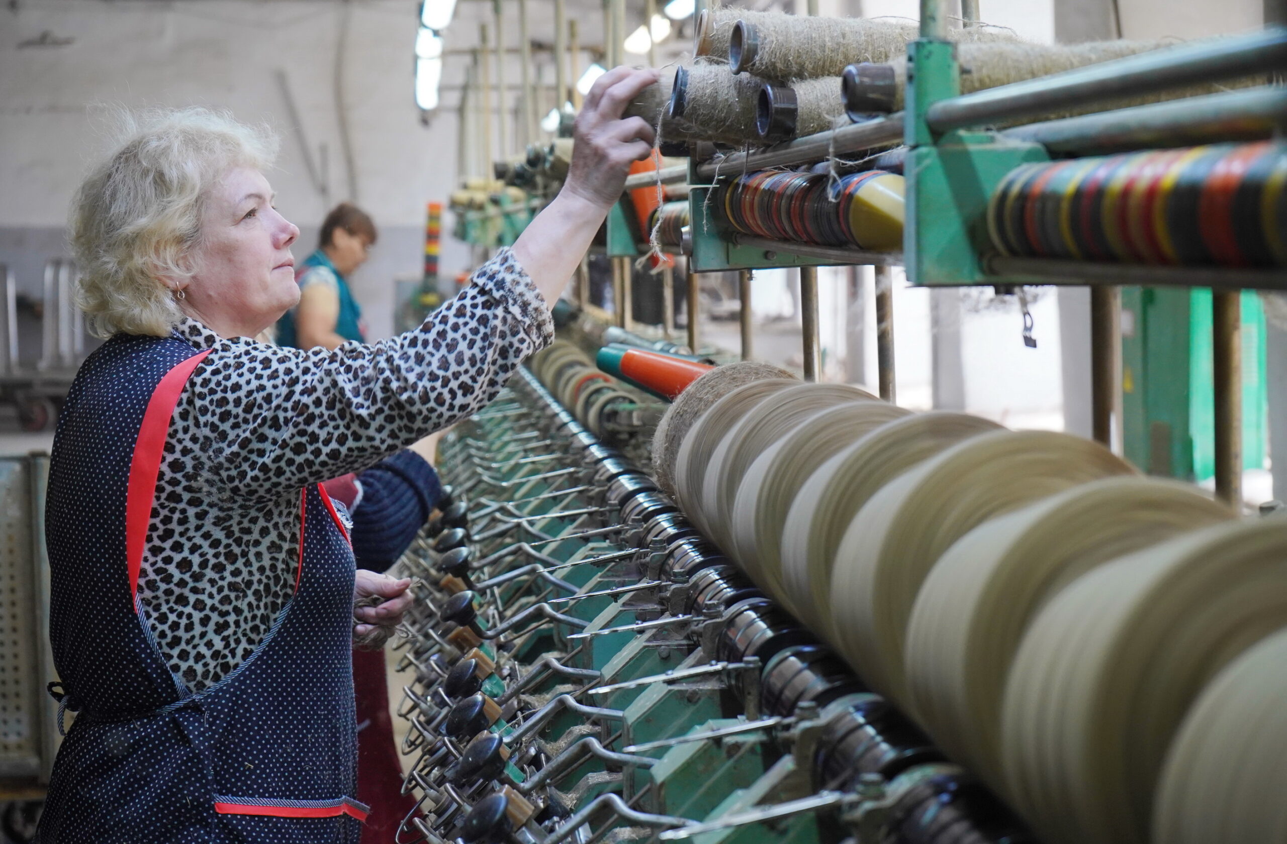 Масштабный проект по производству пеньковолокна реализуют в Ивановской области