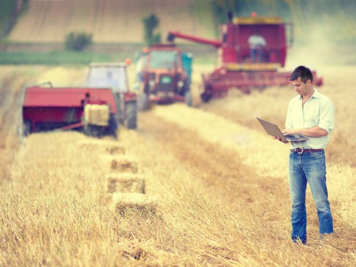 Стартовал прием документов на участие в конкурсном отборе среди фермеров на получение грантов «Агростартап»