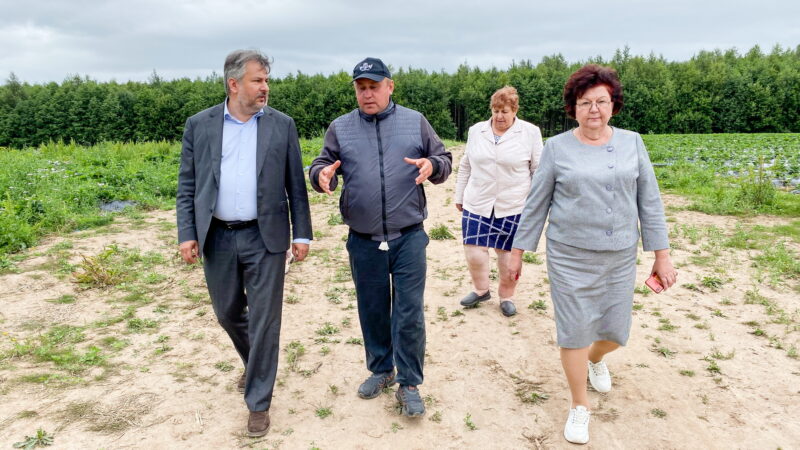 Рост производства ягод в Ивановской области