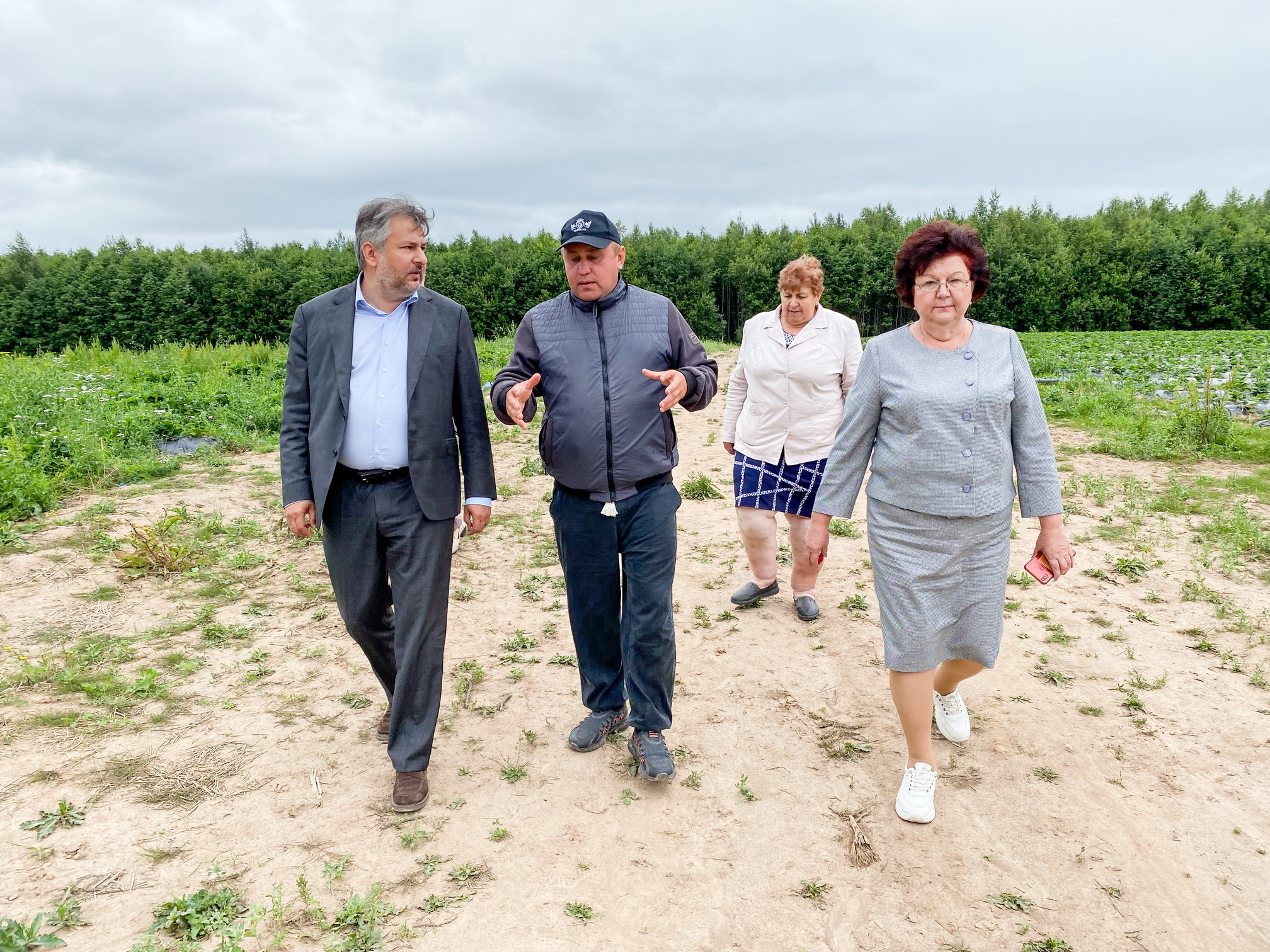 Рост производства ягод в Ивановской области